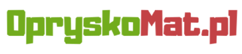 BeanPol - strona główna