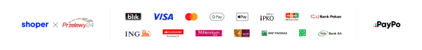 payment methods: Visa, mastercard, paypay, google pay, apple pay